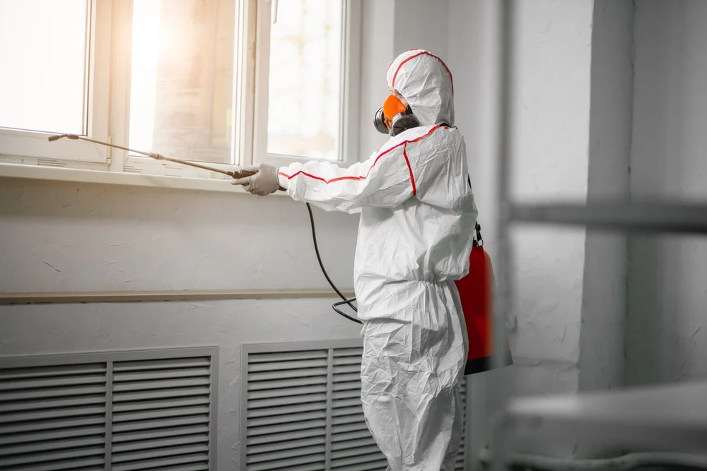 Professional mold remediation services in Auburndale, FL